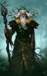 Druid Class